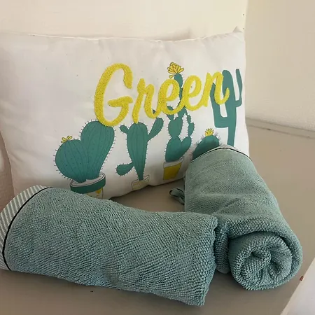 F1 Veranda Jardinet En Front De